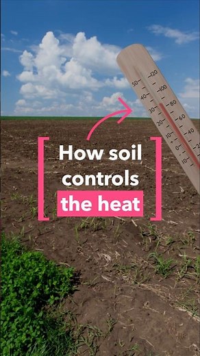 The soil crisis nobody talks about