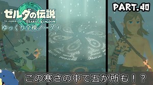 『11種の縛りプレイ＃40』ノーダメージで極寒のダンジョン攻略に苦戦する全裸リンク【ゼルダの伝説ティアーズオブザキングダム/ゆっくり実況】