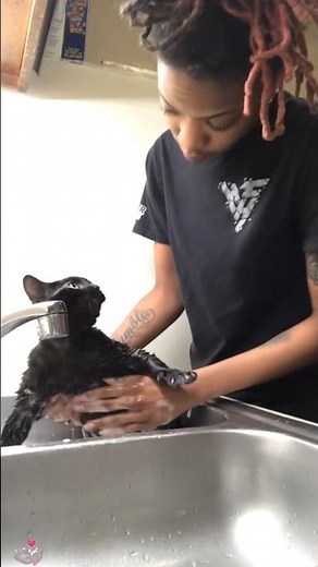 Cats HATE Bath Time 😹 | Funniest Cat Bath Moments