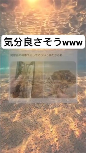 #shorts#同窓会#面白い#笑える#幹事#画像