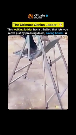 This Ladder Will Change Your Life! 🤯🪜