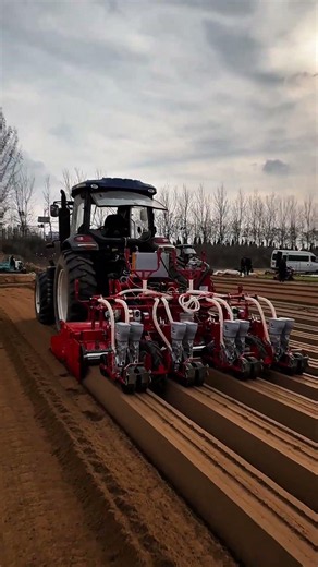 No Seed Waste!air suction carrot seeder#agriculture #factory #machine #china #seeder