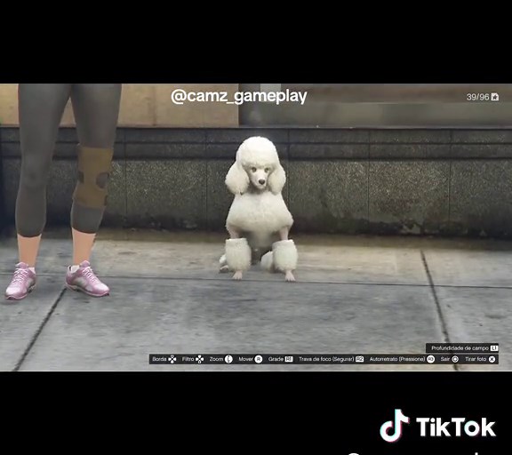 Localização de Poodle em GTA 5: Dicas e Easter Eggs