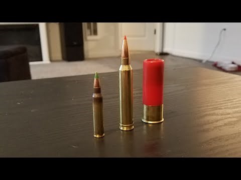 300 win mag vs 5.56 vs 12 gauge
