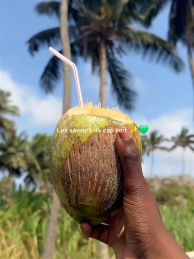 Le Cap-Vert, c’est aussi une terre de fruits tropicaux 🍍🥭🍉 Mangues, papayes, bananes, goyaves… ici, tout pousse sous le soleil. Des saveurs naturelles et fraîches qu’on retrouve sur chaque marché local 🇨🇻 Viens goûter au vrai goût du Cap-Vert. Réserve ton aventure via le lien en bio 🌴 #CAPVERT #caboverde #voyage
