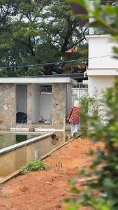 Bayt al nourish | Satva The New Dimension