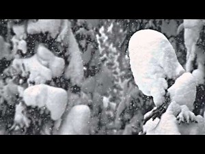 Rotax ACE 900 and 600 Engines