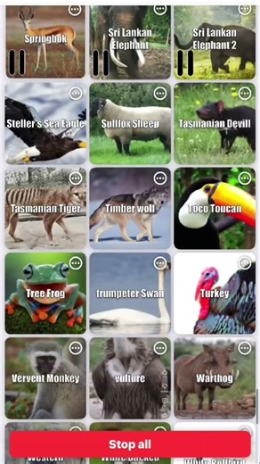 Animals calling and yelling Sfx
