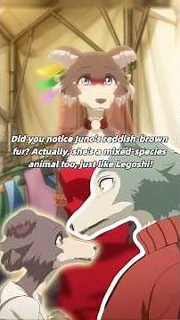 Did you notice Juno's reddish-brown fur? Actually,she's a mixed-species animal too,just like Legoshi