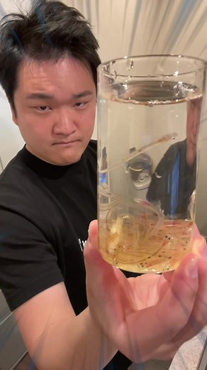 Japanese Fish Cooking Life Hacks Collection! Part2 #トミック #トミックさんって誰❓ #tomikkunet #seafood #japanesefood #youtuber #fyp #cooking