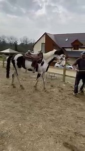 334K views · 4K reactions | (3rd time lucky trying to post......