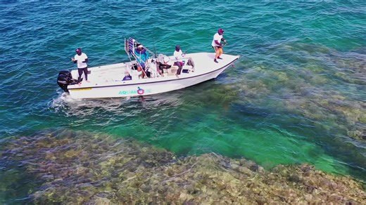 TidesLures on TikTok