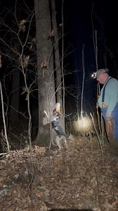 Ol Molly and Tony | Trammel Creek