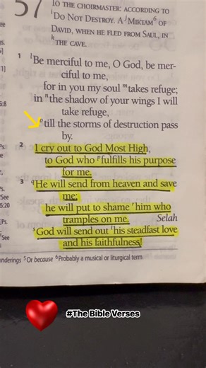 I will never leave you nor forsake you Hebrews 13:5 #bibleverse #biblestudy #bible #God #inspiration #bibleverseoftheday #GodsWord #jesus #Amen | The Bible Verses