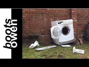 Brick in washing machine