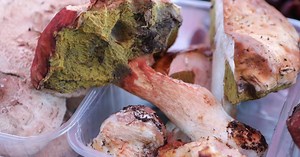 Na Dolcu smo pronašli vrganje i Barbarin recept za savršenu krem juhu