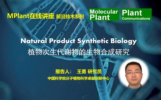MPlant在线讲座-前沿技术系列 第十讲 王勇-植物次生代谢物的生物合成研究