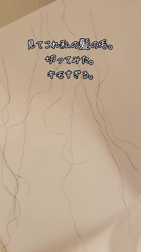私の髪の毛切ってみた。捻転毛っていうんだって。 このうねうね髪の毛がめっちゃある。特につむじのあたりがひどい。いや、全体的にあるんだけど、特につむじ。 元々こーゆーのあったけど、30代になってからまじで髪質変わって、こーゆー毛が増えた。さらに髪の広がり、艶がなくなった。つらい。 ヘアアイロン良いやつ買うか迷ってる。てか縮毛やろうかな。本当に。。 #捻転毛 #髪質 #髪質改善 #髪の毛うねうね #縮れ毛 #髪 #縮毛 #シャンプー #トリートメント #ヘアアイロン #治し方 #誰か教えてください #パヤパヤ毛 #とぅるとぅる髪になりたい