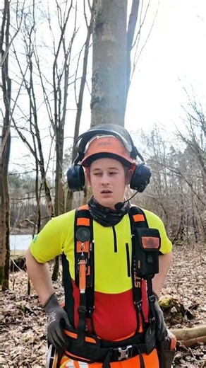 Was habt ihr bisher schon so gesehen #comey#fun#forestry#chainsaw#fail