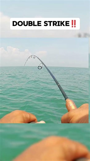 Double hook-up! We both got fish at the same time! #shorts #fishing #fishinglife #angler #fishon