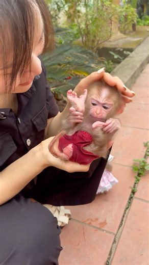 The cute little monkey gripped its feet tightly with both hands.