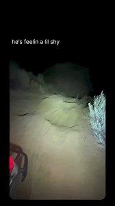 15K views · 249 reactions |  #cars #carguys #4x4 #prerunner | Cars Daily | Facebook