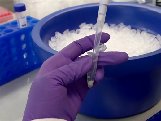 Kompletny przepływ pracy do analizy modyfikacji potranslacyjnych histonów przy użyciu spektrometrii mas od dołu do góry: od ekstrakcji histonów do analizy danych