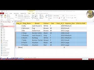 SQL Tutorial of how to use NOT Logical Operator with a WHERE condition in Microsoft Access