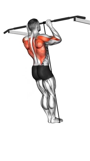 Pull-up #workout #motivation #trending