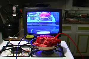 Steak filter