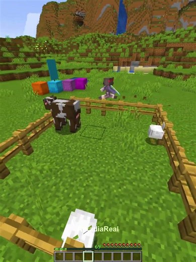 Minecraft nascondino assurdo con il cancello... 🤫#minecraft #shorts