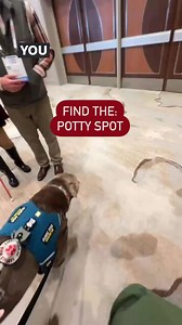 82K views · 2.1K reactions | When I go to an expo or convention, Mum...