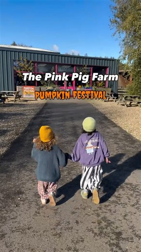 Marissa, Wilder, & Salem ⚡️ on Instagram: "Today we went down to @thepinkpigfarm for their pumpkin festival because we absolutely love an autumn activity and this one didn’t disappoint. The staff was so lovely and were super helpful upon arrival as well. We started out on the ride on tractors (Salem cannot drive to save his life 😂) before moving on to the boys personal favorite the zip line. They had many gos on that and the sled track before spending some time building sandcastles. We d