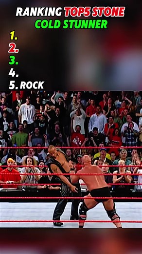Top 5 WWE Stone Cold Stunner Moments