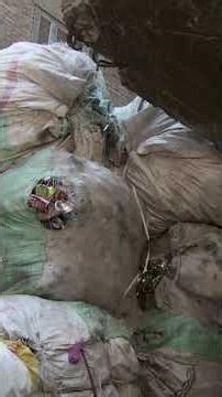 Collecting Cairo's Garbage