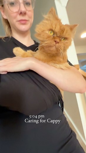 50K views · 2.1K reactions | It's cappy o'clock ✨ loved spending time with all the bears today. my outpatient procedure for my lower back is next week. feeling hopeful but nervous. also waiting to hear back on Cappy's t4 levels early next week. Lots going on but lots to be grateful for always. | Katie Beth Miedaner | Facebook