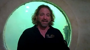 What happened after a man spent 100 days living beneath the Atlantic Ocean