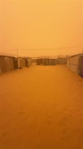 A severe wind and dust storm is affecting the Gaza Strip, exacerbating the suffering of displaced people inside tents.
