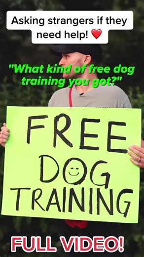 FREE DOG TRAINING TO STRANGERS!! #freedogtraining #dogtrainer #dogtraining #reactivedog
