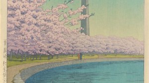 GALLERY: How to celebrate cherry blossoms through art