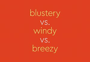 What’s the Difference Between “Blustery,” “Windy,” and “Breezy”?