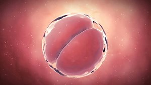 Clip D30_31_148, from Dissolve