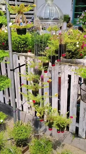 Beautiful Flowers Garden Design Ideas