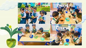 2K views · 52 reactions | Seed Germination Activity by Lotus Buds...