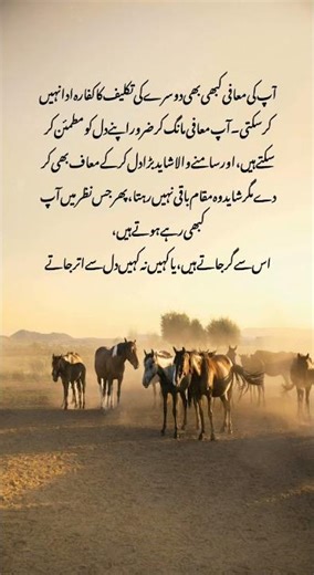 don't be cause to hurt anyone, use your words more carefully #motivationalquotes #deeplines #wisdom