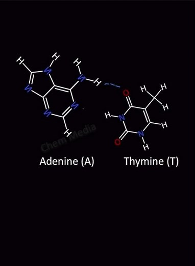 Complementary strand of DNA ATGCTTCA is? #chemistry #biology #science