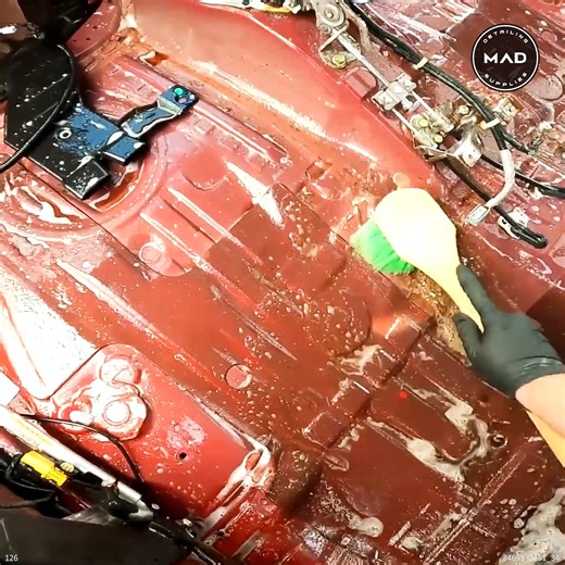 88K views · 972 reactions | Transforming a Roach-Infested Honda #CarTransformation #DeepCleaning #BeforeAndAfter | MAD Detailing | Facebook