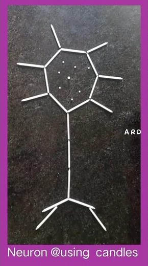 #neuron model prepared with white candle