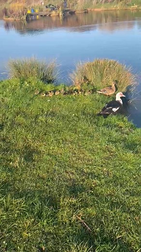 Crazy to see these this time of year. Is it that mild ⛅️ | Catchy Bait