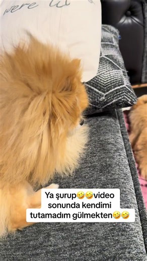 Cennet Annelerin Ayaklarının Altında: Anneler Günü Mesajı